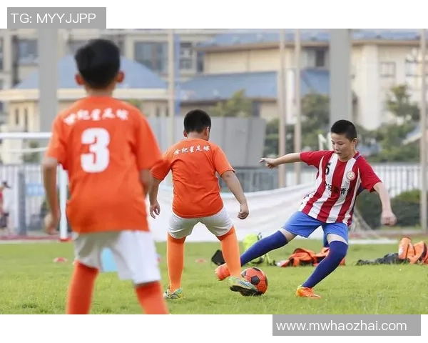 合肥足球球星崛起 探索城市足球文化与青训发展新机遇